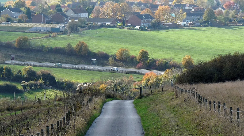 Spring over Upton Scudamore