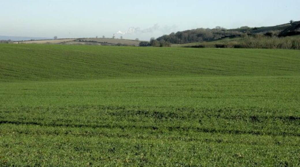 North north east near Upton Scudamore Taken from the lane to Biss Bottom. The Lafarge Cement Works chimney ST8852 can be located by its emissions, water vapour I think rather than smoke. To the right we have the northern end of Upton Cow Down.