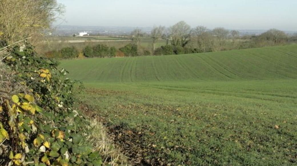 Toward Biss Bottom near Upton Scudamore Taken from the lane leading to Biss Bottom, wherein lies the source of the River Biss which passes Westbury to the west, flowing on through Trowbridge then joins the River Avon near Ladydown.