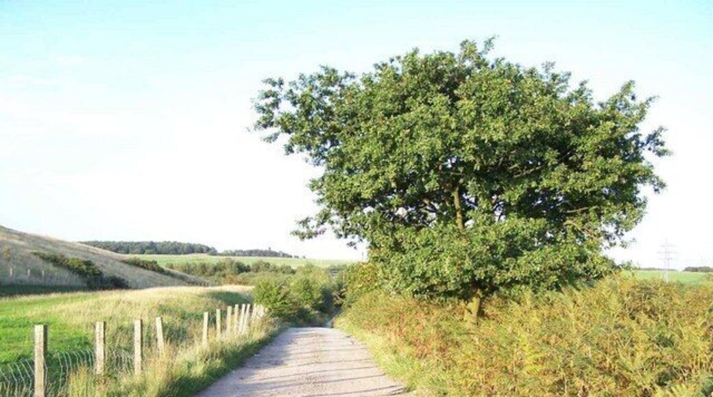 Bridleway To Heath Hayes.