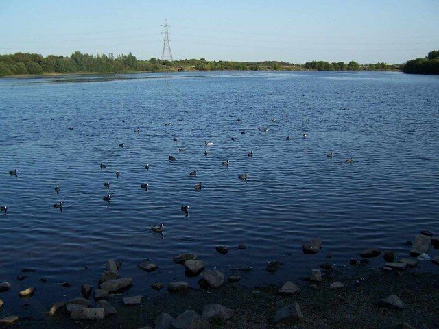 West Side of Chasewater at Norton Canes.