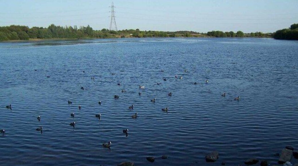 West Side of Chasewater at Norton Canes.
