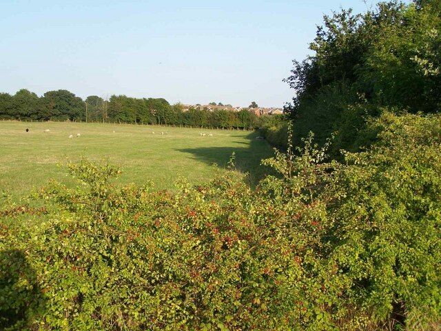 View From Stoke's Lane