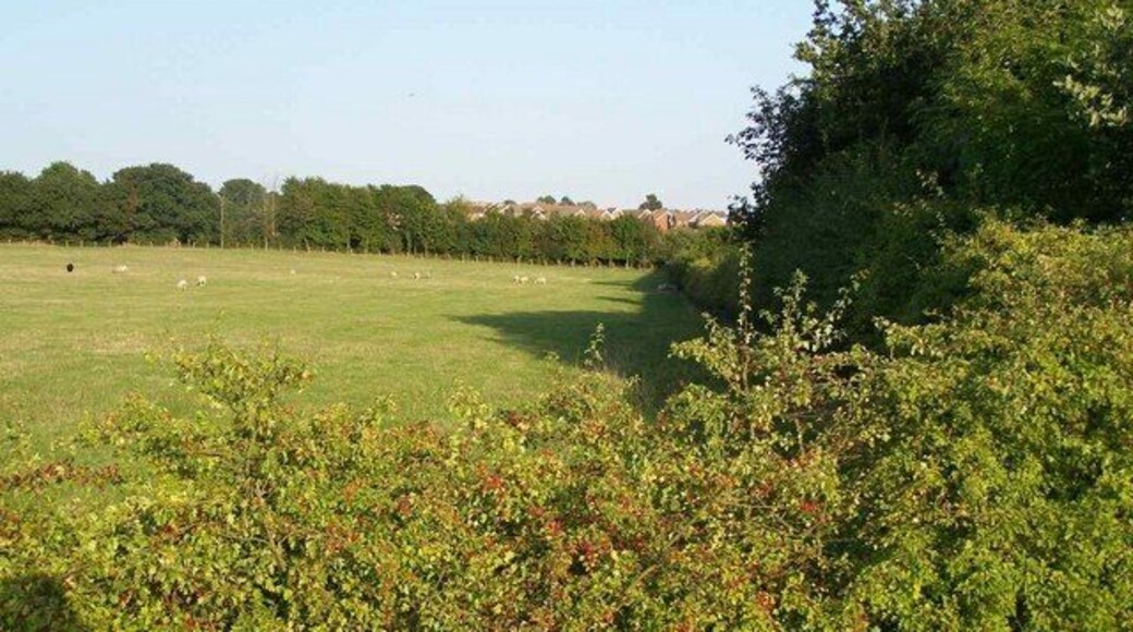 View From Stoke's Lane