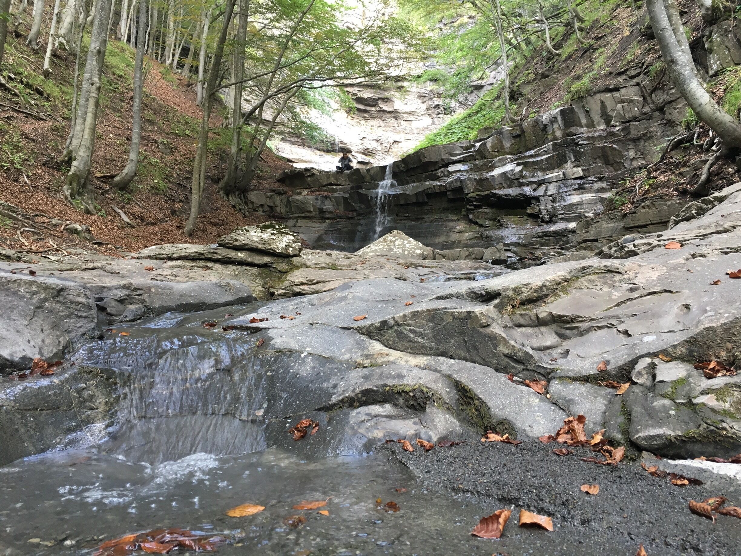 A waterfall in a forested area with rocky terrain and fallen leaves.