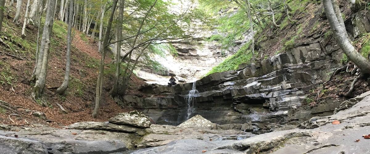 A waterfall in a forested area with rocky terrain and fallen leaves.
