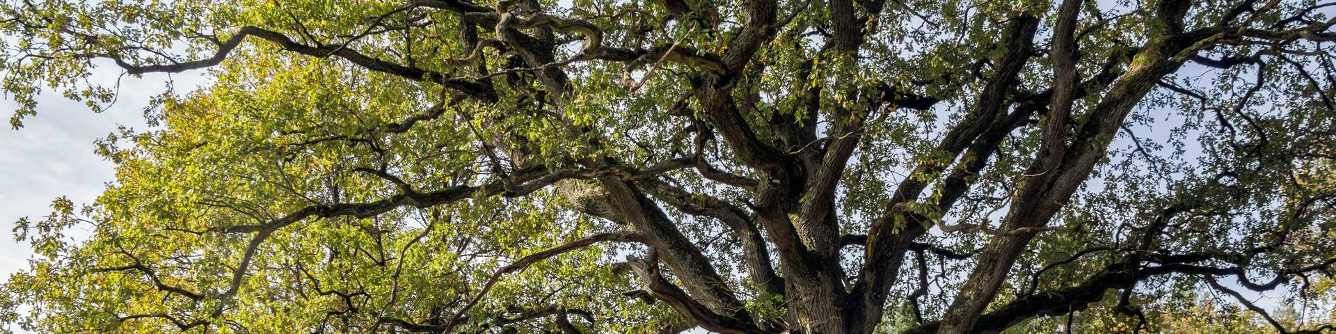 Todsfelder Tal, Thuisbrunn, Egloffstein, LSG FrÀnkische Schweiz - Veldensteiner Forst
