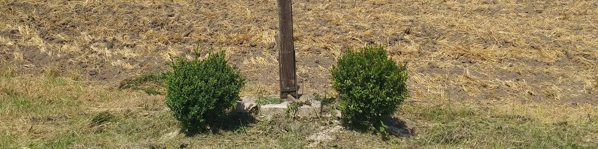 Wegkreuz bei Schnotting