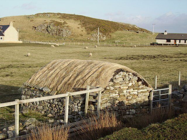 Croft land, Strathy. With distinctive thatched byre. No longer a common sight.