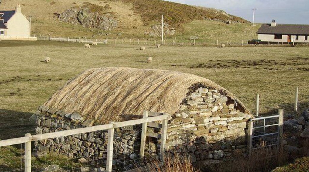 Croft land, Strathy. With distinctive thatched byre. No longer a common sight.
