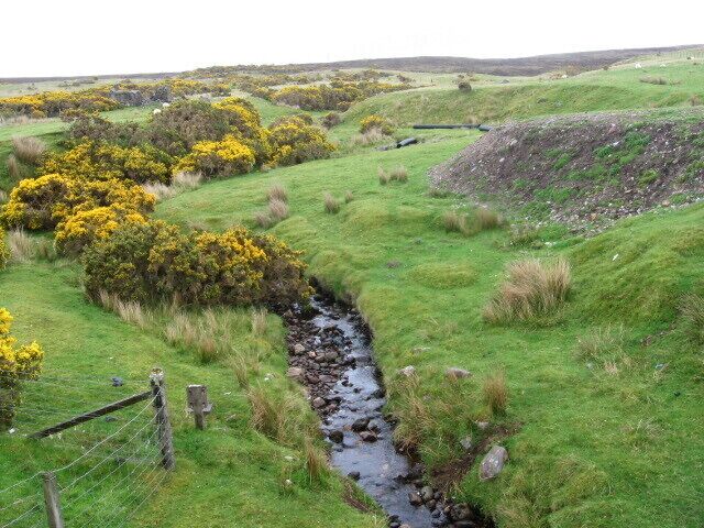 A grassy landscape with a stream, yellow flowering bushes, and rolling hills.