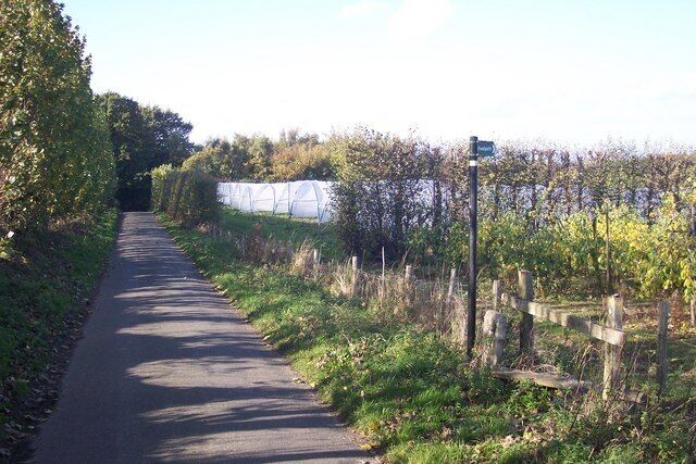 Footpath on Kay's Lane The footpath leads through the polytunnels to Kemsdale Road. Kay's Lane leads from Hernhill to Kemsdale Road.