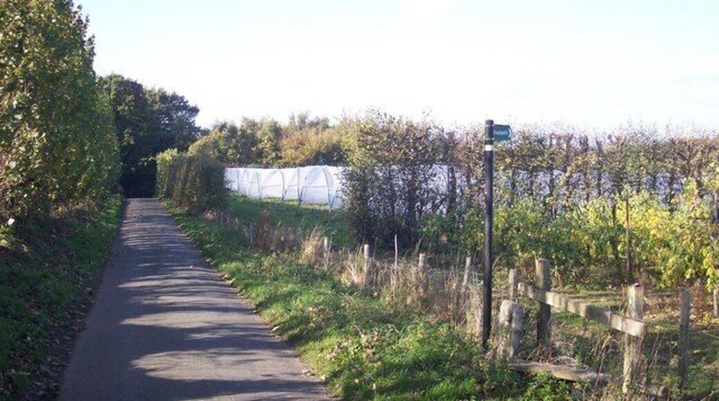 Footpath on Kay's Lane The footpath leads through the polytunnels to Kemsdale Road. Kay's Lane leads from Hernhill to Kemsdale Road.