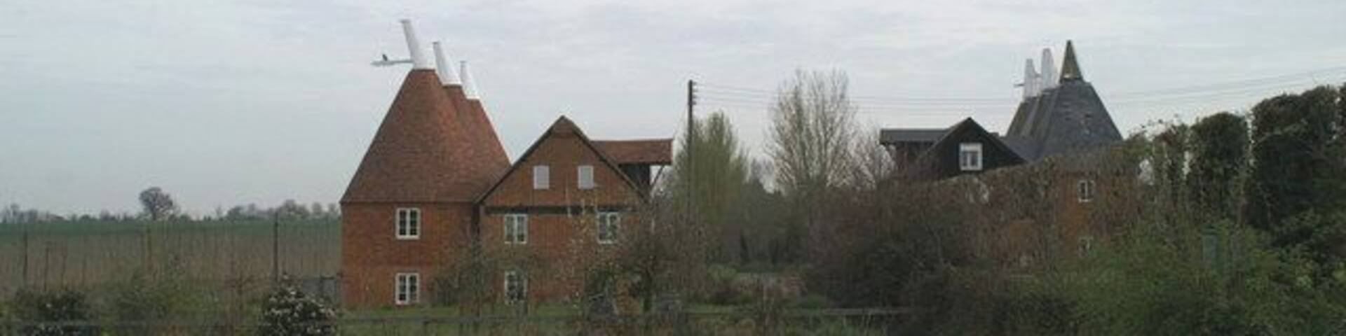 Styles in oast houses At Staplestreet, with the hop bines behind on the left