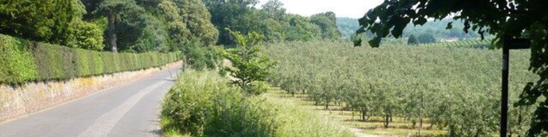 Staplestreet Road On the left is Mount Ephraim and on the right is the start of a footpath to Boughton-under-Blean.