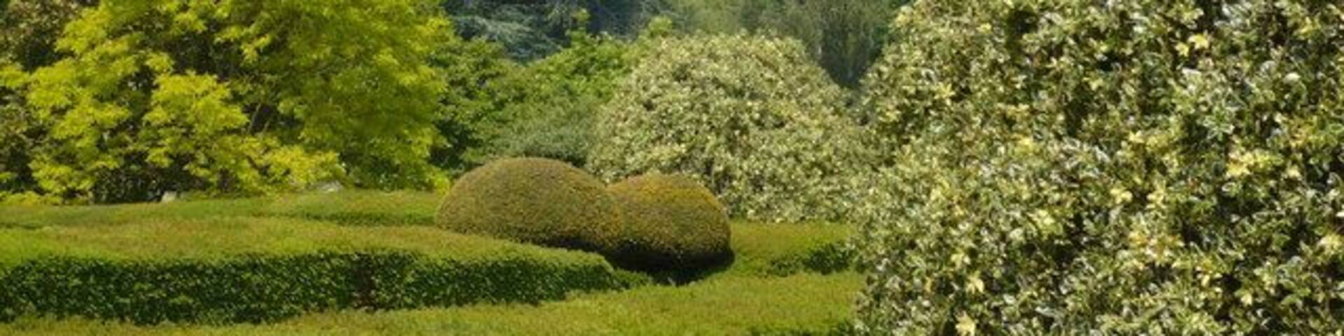 Looking across Mount Ephraim gardens to Hernhill village