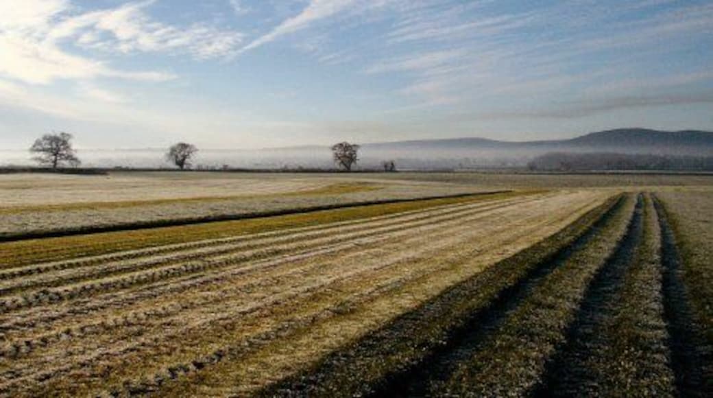 View of Dodleston Fields and Welsh Hills View of farmland and Welsh Hills taken from public footpath opposite Dodleston Hall leading to Windmill Hill and Lower Kinnerton