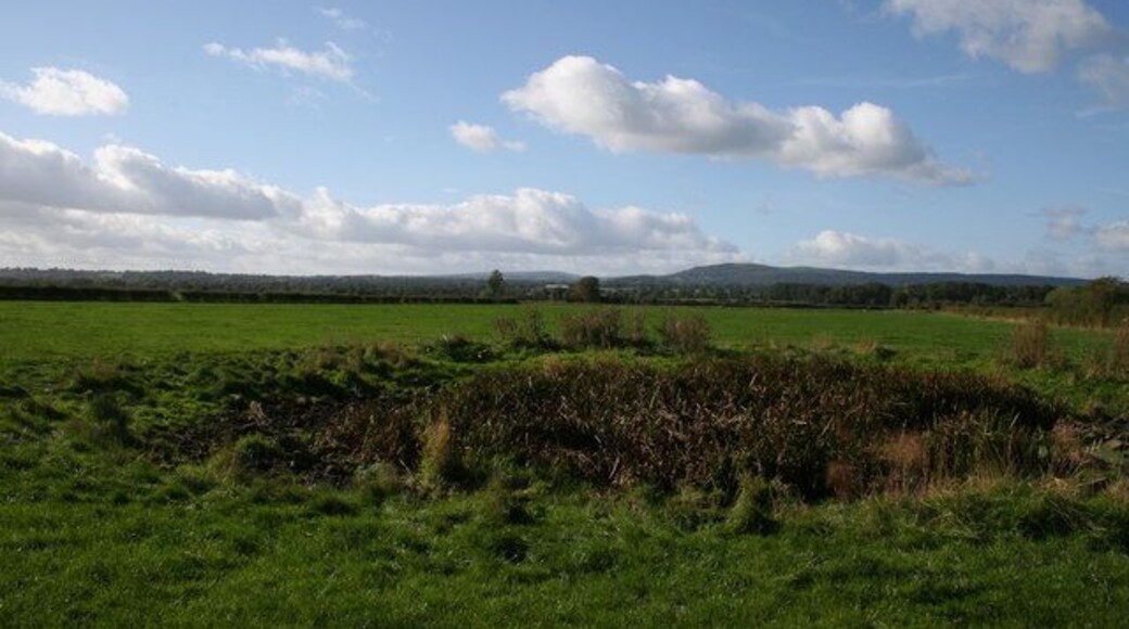Dried out Pond Believed to be an old Marl Pit. The footpath runs to the left hand side of the pond. The Welsh hills are in the background.