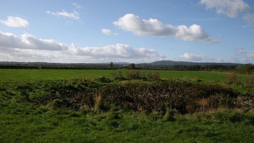 Dried out Pond Believed to be an old Marl Pit. The footpath runs to the left hand side of the pond. The Welsh hills are in the background.