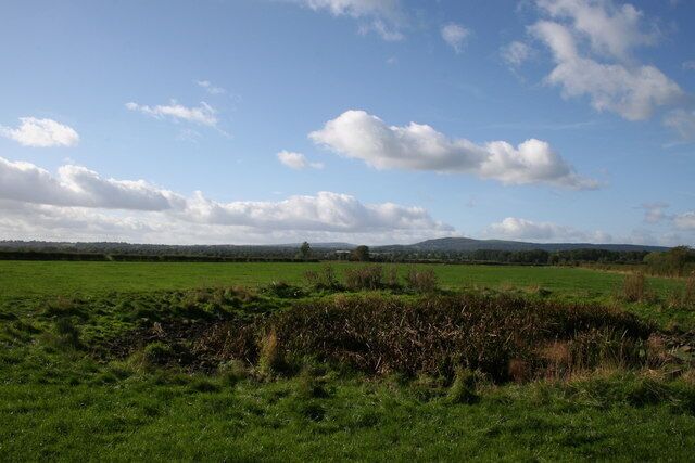 A green field with a line of trees in the distance and a clear blue sky with clouds.