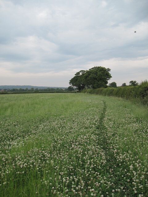 View of Footpath to Kinnerton