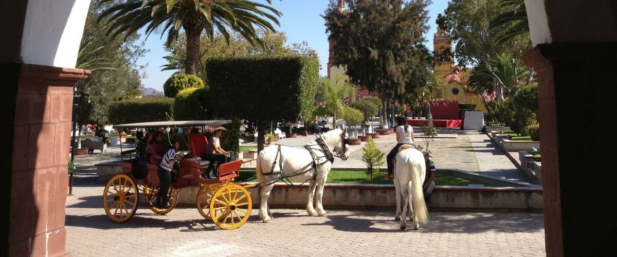 A horse-drawn carriage in a plaza with palm trees and a building in the background.