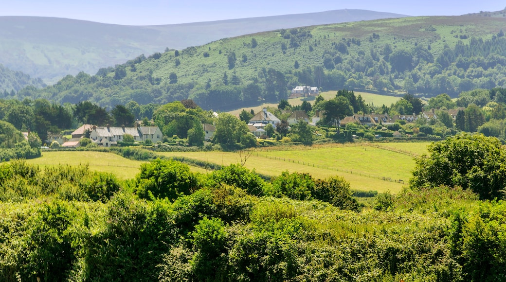 Rolling hills, lush greenery, and scattered houses in a rural landscape.
