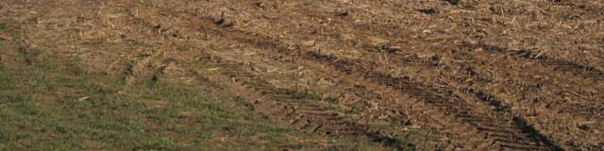 Farmland near Glaston. Looking towards Morcott. The Glaston railway tunnel runs underneath this farmland just about were I was standing, see 207190. 198866 can just be seen on the horizon.