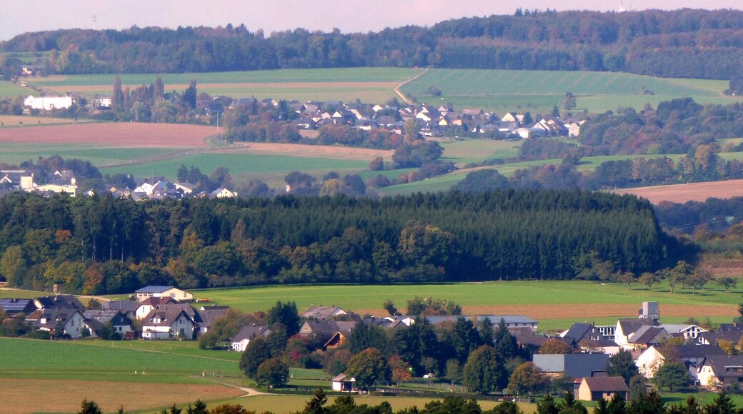 Hunsrückdörfer vom Bismarckturm in Sargenroth aus gesehen