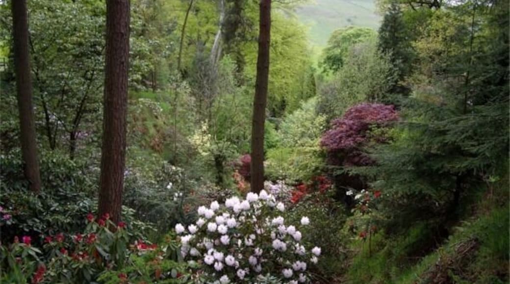 Dunge Valley Gardens from head of valley.