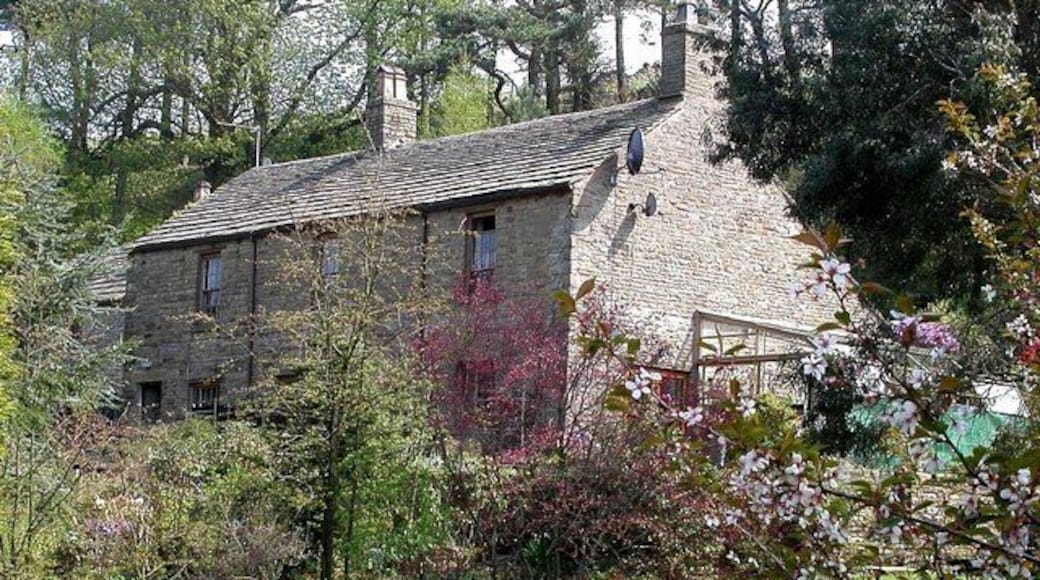 Dunge Valley Nursery