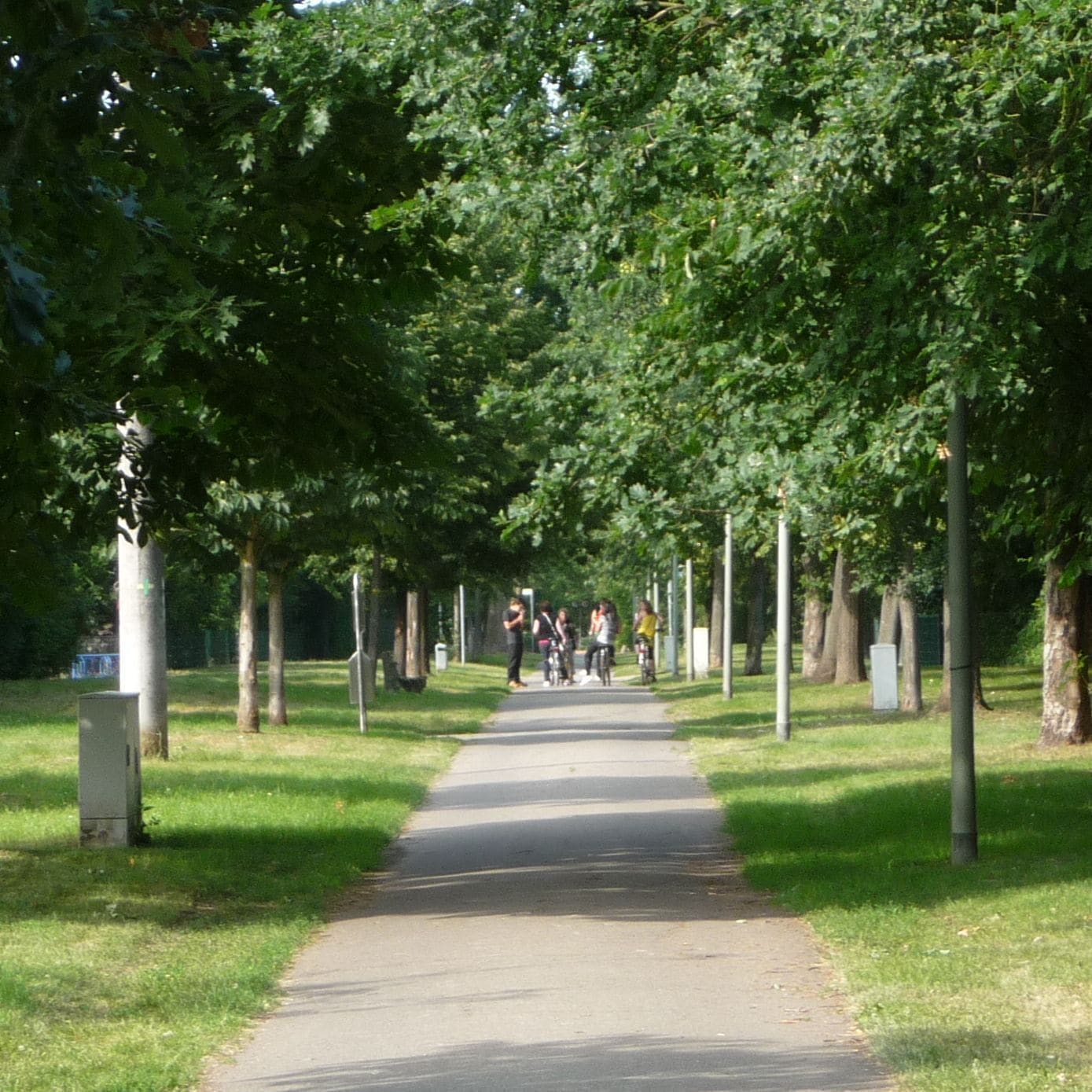 Rehbachweg mit Dorfjugend