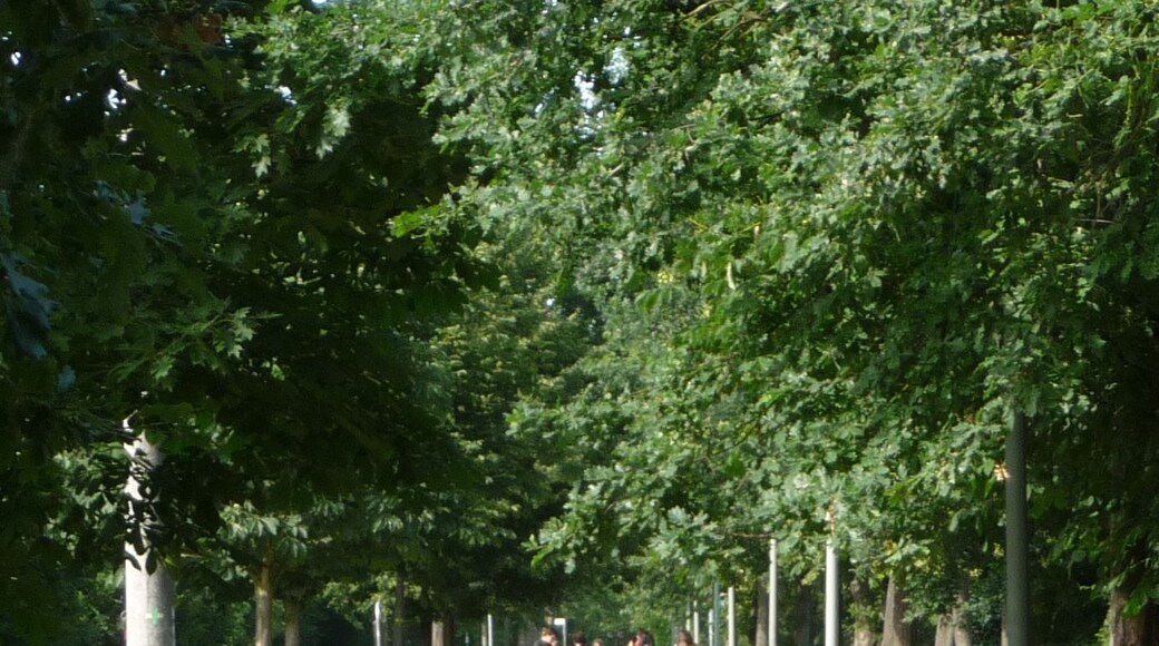 Rehbachweg mit Dorfjugend