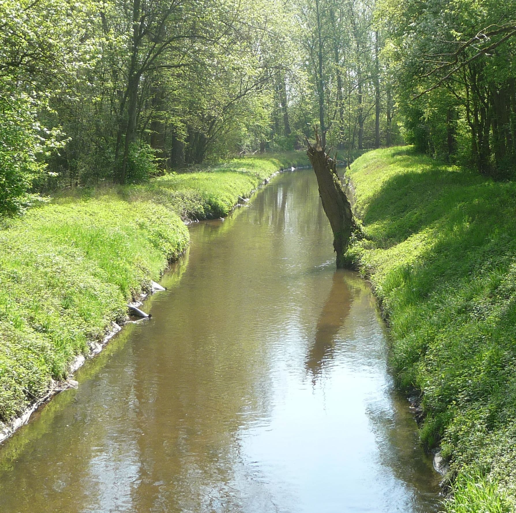A narrow river with a fallen tree in the center, surrounded by lush green grass and trees.