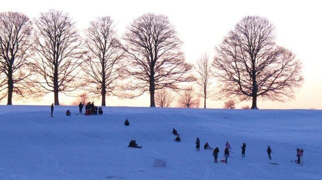 School can be fun! Pupils from Queen Mary's School enjoying a games lesson with a difference on a January afternoon.