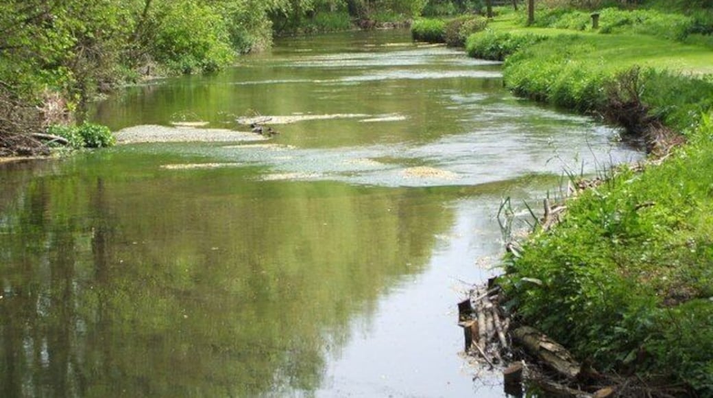 River Dun at Butts Green