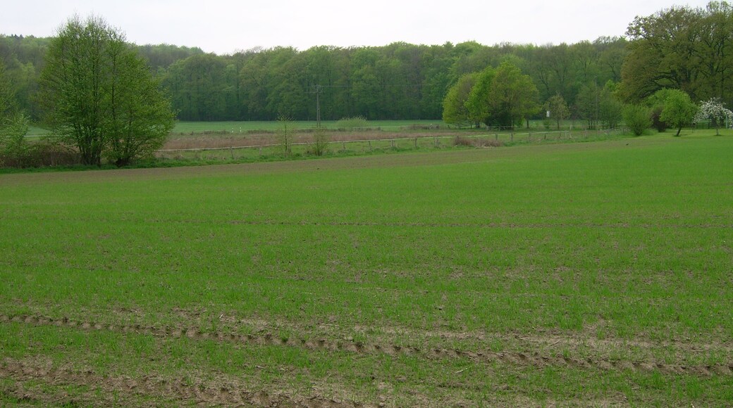 Blick zu Feldern an der Sudenfelder Straße