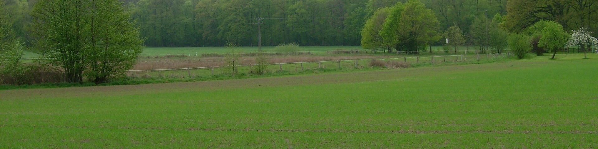 Blick zu Feldern an der Sudenfelder Straße