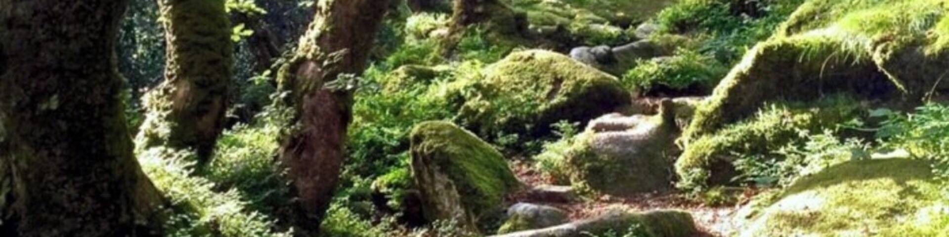 Granite and twisted wood