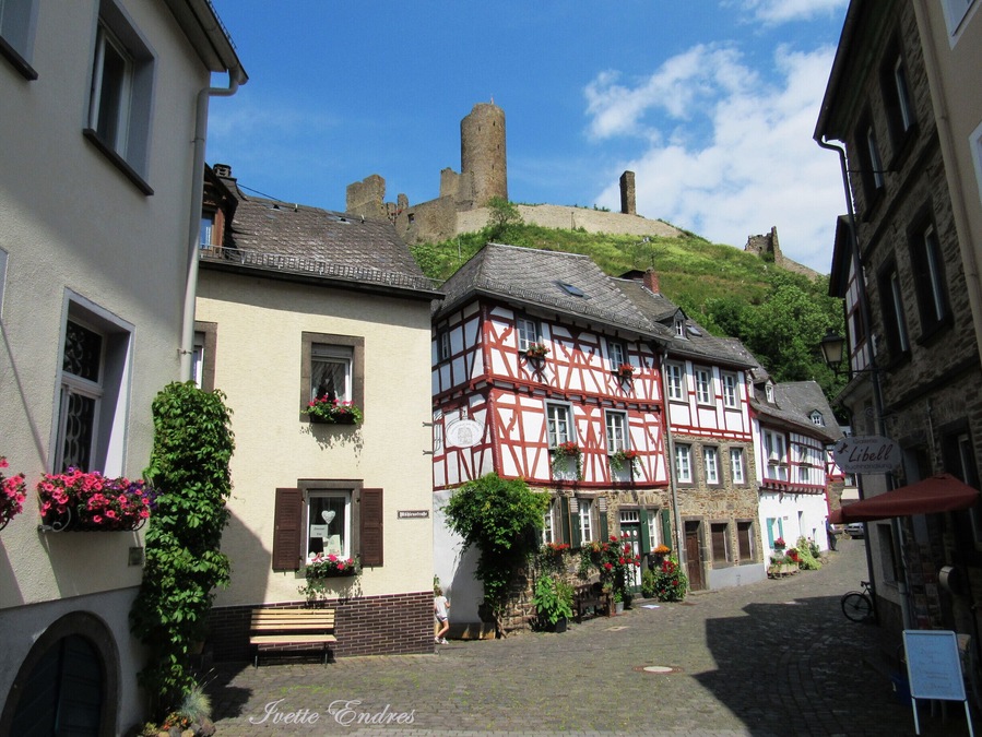 This is a good place to hiking and with several options to enjoy a lunch or just have a coffee.