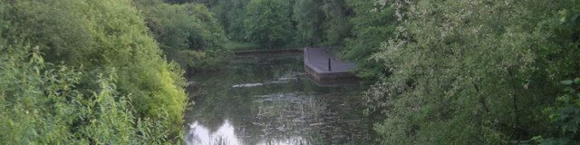 A lake at the nature park