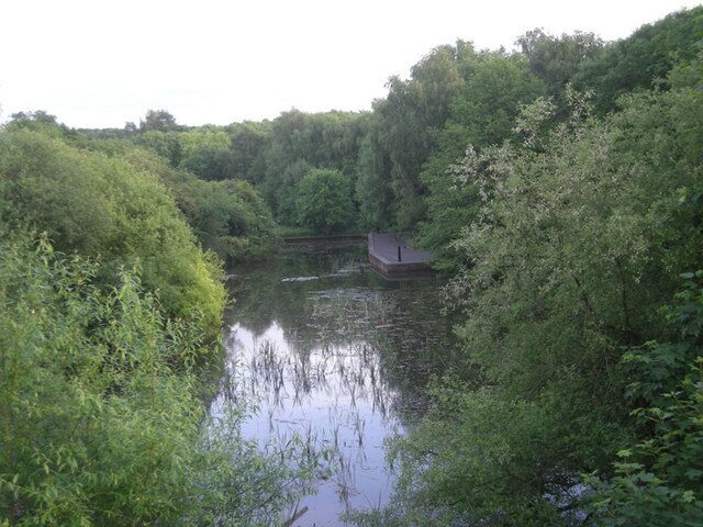 A calm river surrounded by dense greenery and a small building on the right bank.
