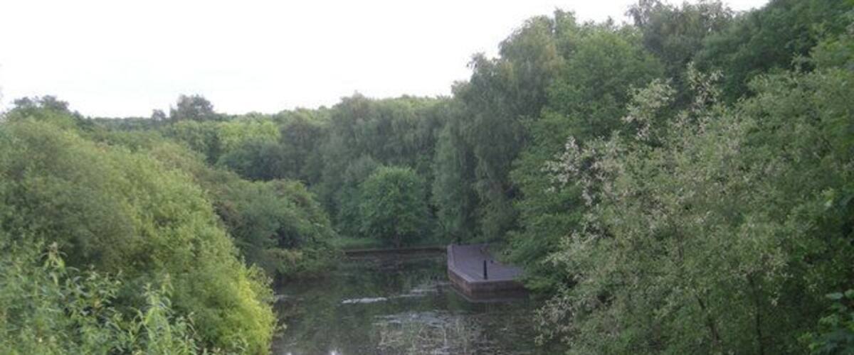 A calm river surrounded by dense greenery and a small building on the right bank.
