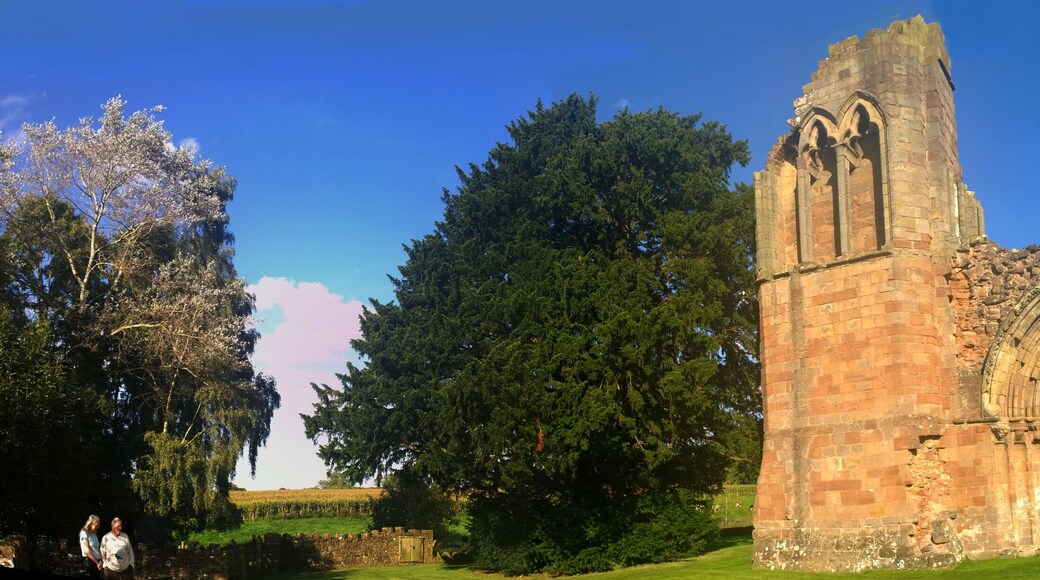 Lilleshall Abbey Wikidata has entry Q6548035 with data related to this item.