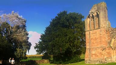 Lilleshall Abbey Wikidata has entry Q6548035 with data related to this item.