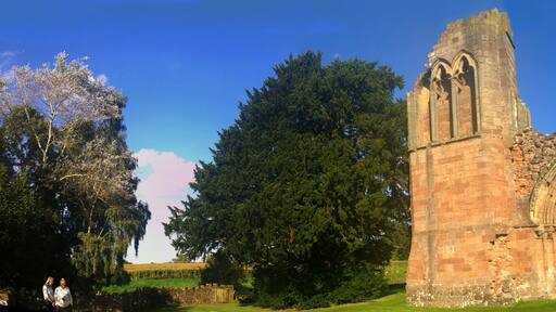 Lilleshall Abbey Wikidata has entry Q6548035 with data related to this item.