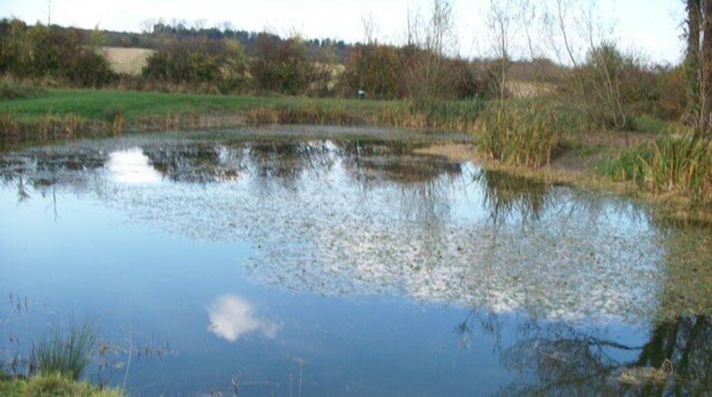 Pond near Aston Hale This pond has been recently created and serves the many game birds raised in the area. Note the feed hopper for the birds in the background.