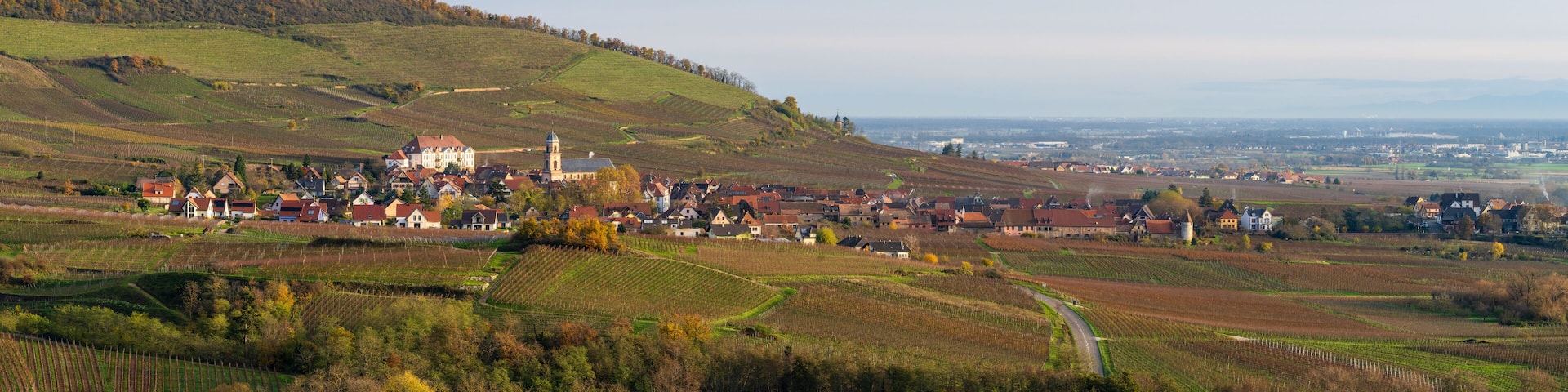 Une matinée automnale ensoleillée dans la région viticole de Saint-Hippolyte, en Alsace, Grand Est, France