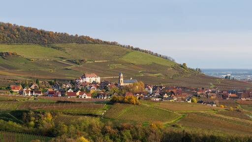 Une matinée automnale ensoleillée dans la région viticole de Saint-Hippolyte, en Alsace, Grand Est, France