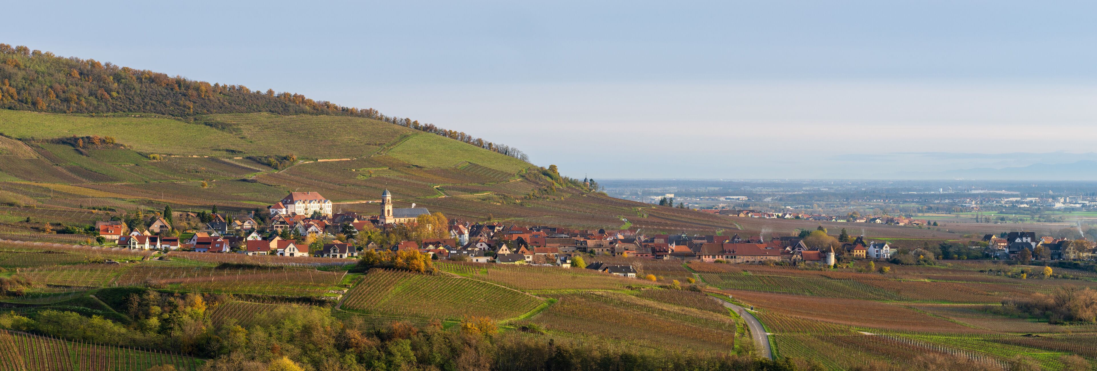 A village nestled in rolling hills with vineyards, a prominent church, and a tower.